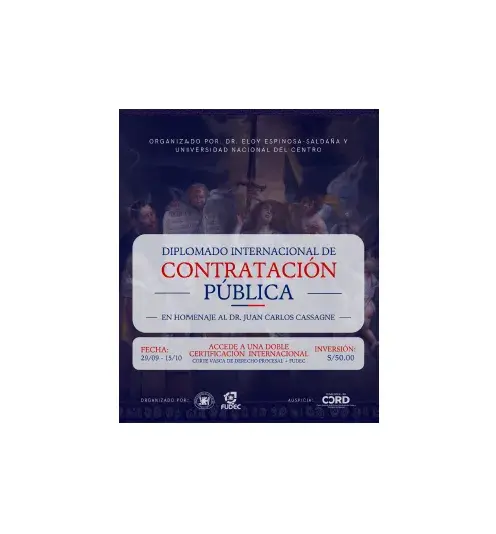 DIPLOMADO INTERNACIONAL DE CONTRATACIÓN PÚBLICA